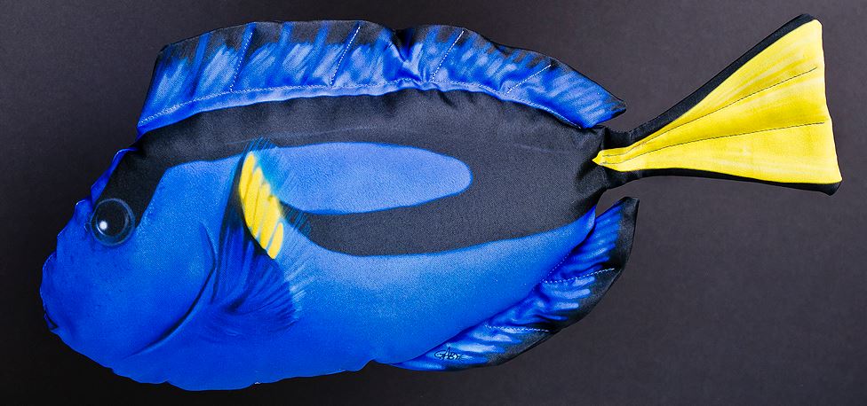 Bodlok pestrý - 56 cm polštářek