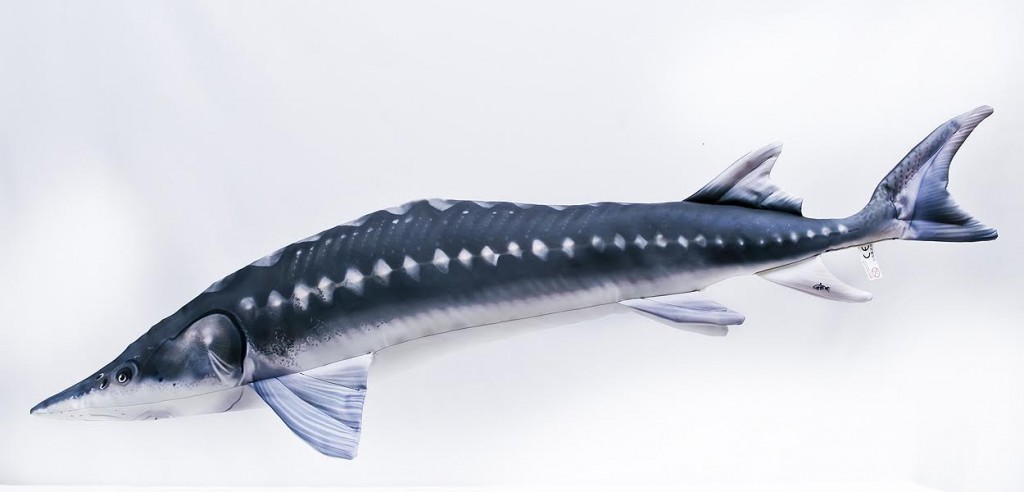 Jeseter - 125 cm polštář