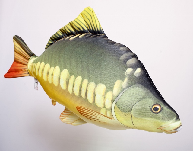 Kapr lysec - 61 cm polštářek