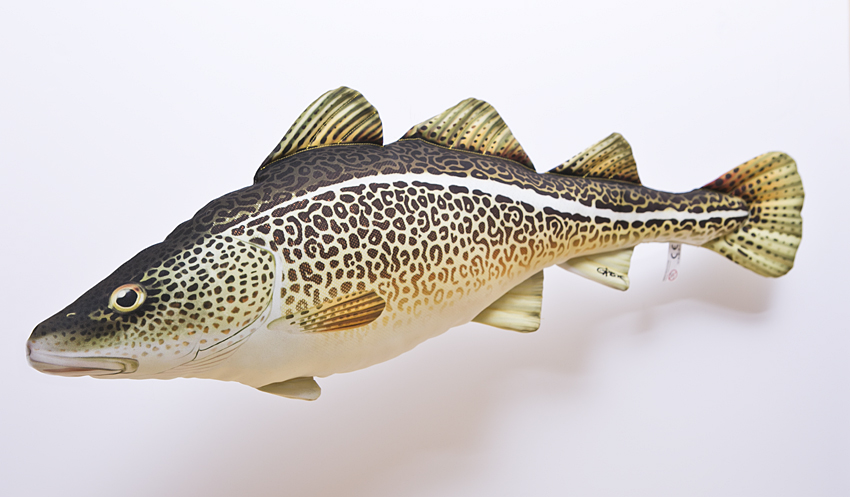 Treska obecná - 75 cm polštářek