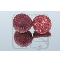 Boilies Evolutin Fishing Šmakoun 