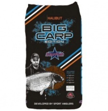 STARFISH BIG CARP