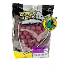 Boilies CARP ONLY Absolut Plum 1kg
