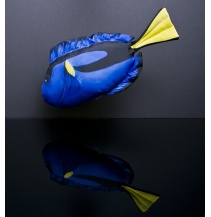 Bodlok pestrý mini - 32 cm polštářek