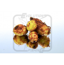 Evolution Fishing Tygří ořech vařený mix 1kg