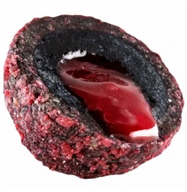 LK Baits Nutrigo 200ml